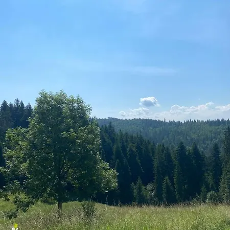 Séjour à la ferme Pod Turbaczem