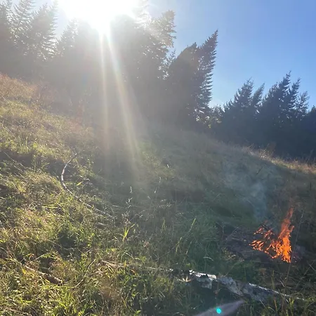 Pod Turbaczem Feriegård Nowy Targ